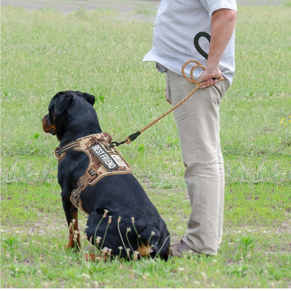 Desert Camo Design Harness and Leash- Brand New & Never Used. - Picture 5 of 7